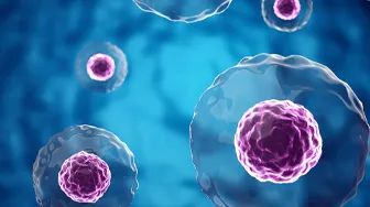 Cell Image